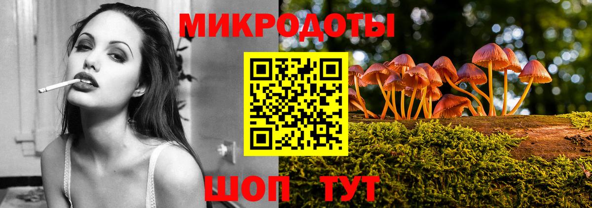 Псилоцибиновые грибы Psilocybe Будённовск